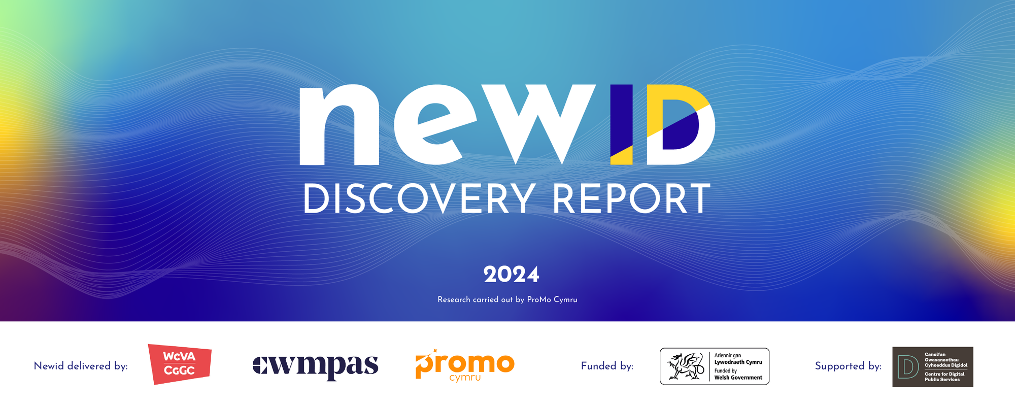 Newid Discovery Report 2024